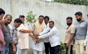 विश्व पर्यावरण दिवस: वरिष्ठ भाजपा नेता संजीव कुमार सिंह ने पौधारोपण कर जगाई जागरूकता
