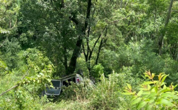 नैनीताल से लौट रहे लखनऊ के पर्यटकों की टैक्सी गहरी खाई में गिरी, चालक समेत 7 घायल; SDRF ने चलाया रेस्क्यू